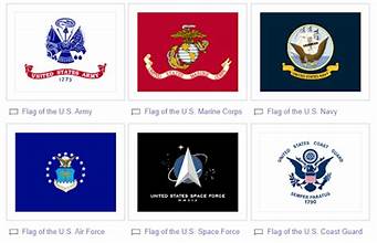 Enlisting Info